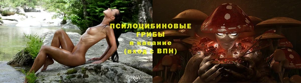 соль ск Вязьма