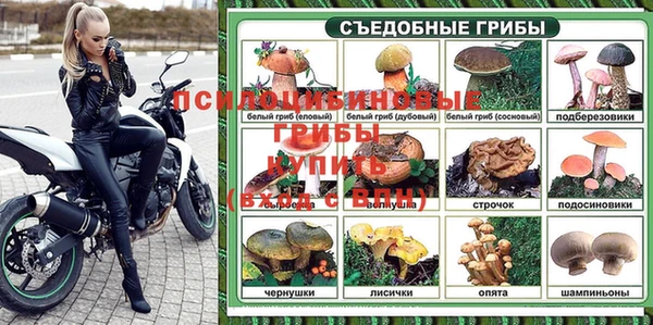 дживик Вяземский